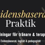 Evidensbaserad praktik