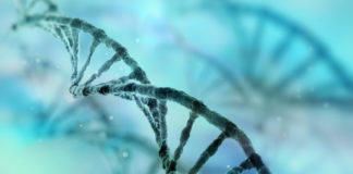 Kan DNA-analys avslöja det perfekta kost- och träningsupplägget?