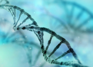 Kan DNA-analys avslöja det perfekta kost- och träningsupplägget?