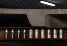 The Naia Initiative samarbetspartner till Workout Åre