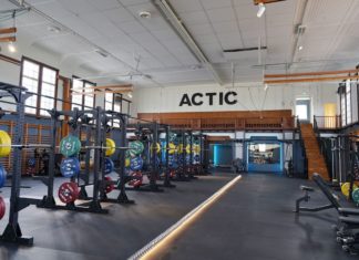 Actic säljer av sin verksamhet i Tyskland och Österrike