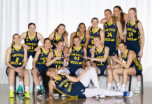 NOCCO ny partner till Svenska Basketbollförbundet