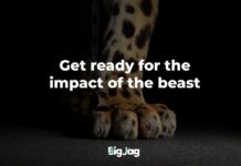 BigJag, innovativa akustiska lösningar, lanseras på FIBO