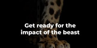 BigJag, innovativa akustiska lösningar, lanseras på FIBO