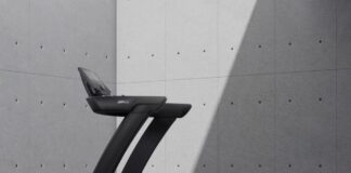 Intenza – En spännande historia av framgång och välmående