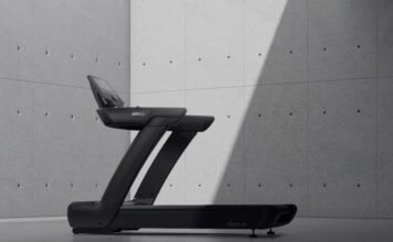 Intenza – En spännande historia av framgång och välmående