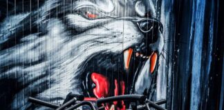 Panatta – Träningsutrustning med enastående design och en stolt historia