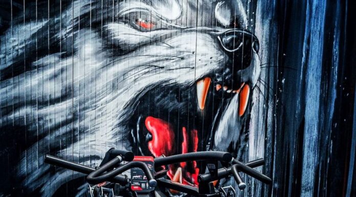 Panatta – Träningsutrustning med enastående design och en stolt historia