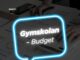 Specialpodd: Gymskolan – Budget